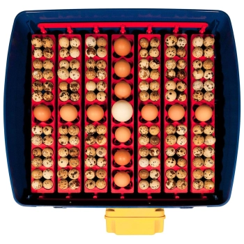  Inkubator wylęgarka do 49 jaj automatyczna z systemem nawilżania profesjonalna 150 W - zdj. dodatkowe 5