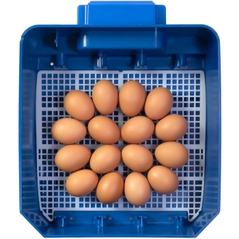  Inkubator klujnik do 16 jaj automatyczny z dystrybutorem wody profesjonalny 60 W - zdj. dodatkowe 4