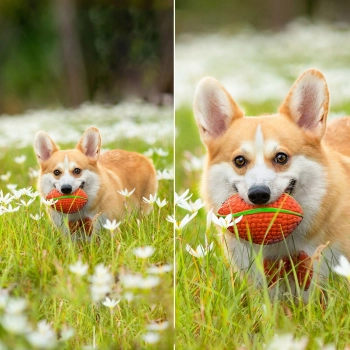  Kamera WiFi z aplikacją sterującą Android iOS IR LED + panel słoneczny 5W - zdj. dodatkowe 3