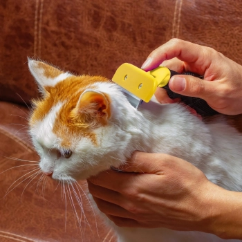  Szczotka zgrzebło trymer do usuwania sierści zwierząt psa kota 10 cm - zdj. dodatkowe 3