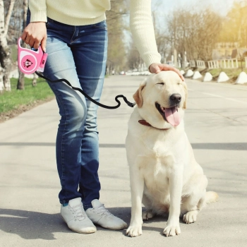  Smycz automatyczna zwijana dla psa kota z blokadą latarką LED do 15 kg 5 m - różowa - zdj. dodatkowe 1