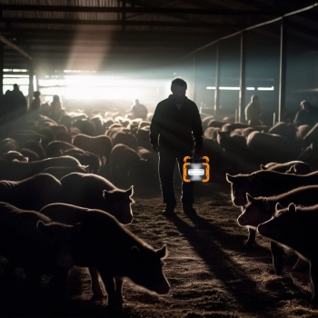  Reflektor halogen zewnętrzny przenośny z uchwytem na baterie 30 W - zdj. dodatkowe 3