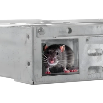  Myszołapka żywołapka pułapka na myszy humanitarna 26 x 16 x 4,5 cm - zdj. dodatkowe 3