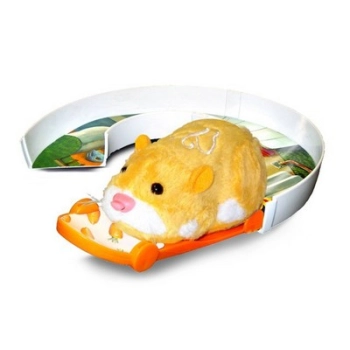 Run Run Park - Deskorolka + Tor + Gratisy!