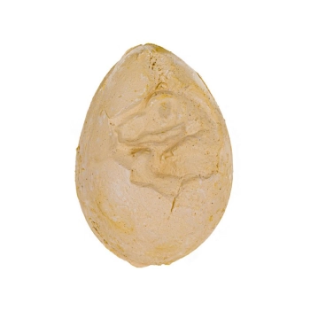 Wykopaliska Archeologiczne, JAJKO Z DINOZAUREM, Mały Archeolog - Zestaw