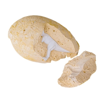 Wykopaliska Archeologiczne, JAJKO Z DINOZAUREM, Mały Archeolog - Zestaw