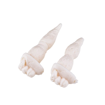 Zręcznościowa Gra Rodzinna Wyrwij Chory Ząbek Rekina, Shark Spray Water Sika Wodą