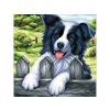 Haft Diamentowy, Obraz, Mozaika Diamentowa Diamond Painting, PIES NA PŁOCIE 30x30cm
