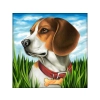 Haft Diamentowy, Obraz, Mozaika Diamentowa Diamond Painting, PIES BEAGLE 30x30cm