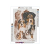 Haft Diamentowy, Obraz, Mozaika Diamentowa Diamond Painting, PIES - OWCZAREK AUSTRALIJSKI 30x40cm