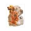 Haft Diamentowy, Obraz, Mozaika Diamentowa Diamond Painting, PIES - GOLDEN RETRIEVER 30x35cm