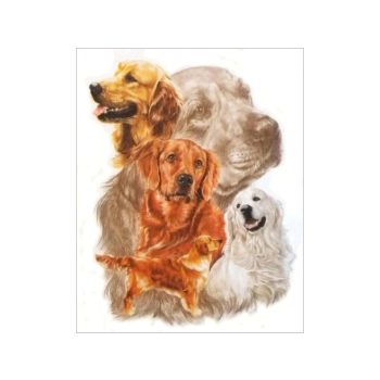Haft Diamentowy, Obraz, Mozaika Diamentowa Diamond Painting, PIES - GOLDEN RETRIEVER 30x35cm