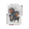 Haft Diamentowy, Obraz, Mozaika Diamentowa Diamond Painting, PIES - ROTTWEILER 30x40cm
