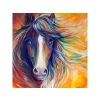 DUŻY Haft Diamentowy, Obraz, Mozaika Diamentowa Diamond Painting, ABSTRAKCYJNY KOŃ 40x40cm