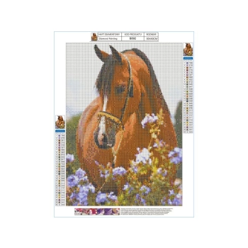 Haft Diamentowy, Obraz, Mozaika Diamentowa Diamond Painting, KOŃ - ŁĄKA 30x40cm