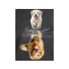 Haft Diamentowy, Obraz, Mozaika Diamentowa Diamond Painting, ODBICIE LUSTRZANE - PIES 30x40cm