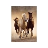 Haft Diamentowy, Obraz, Mozaika Diamentowa Diamond Painting, KONIE W GALOPIE 30x40cm