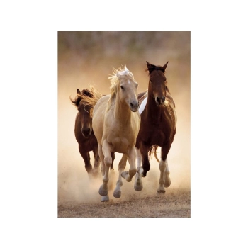 Haft Diamentowy, Obraz, Mozaika Diamentowa Diamond Painting, KONIE W GALOPIE 30x40cm