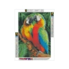 Haft Diamentowy, Obraz, Mozaika Diamentowa Diamond Painting, KOLOROWE ARY PAPUGI 30x40cm