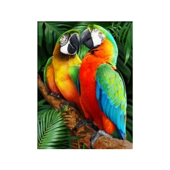 Haft Diamentowy, Obraz, Mozaika Diamentowa Diamond Painting, KOLOROWE ARY PAPUGI 30x40cm