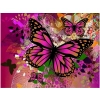 Haft Diamentowy, Obraz, Mozaika Diamentowa Diamond Painting, MOTYLE W RÓŻU 40x30cm