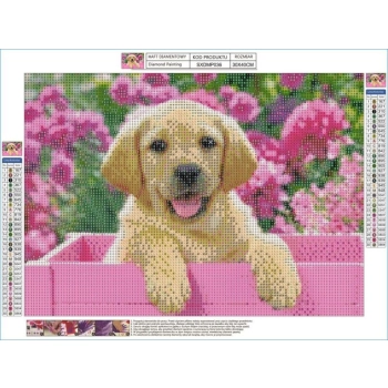 Haft Diamentowy, Obraz, Mozaika Diamentowa Diamond Painting, BISZKOPTOWY LABRADOR PIES 40x30cm