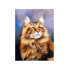 Haft Diamentowy, Obraz, Mozaika Diamentowa Diamond Painting, RUDY MAINE COON 30x40cm