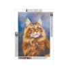 Haft Diamentowy, Obraz, Mozaika Diamentowa Diamond Painting, RUDY MAINE COON 30x40cm