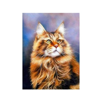 Haft Diamentowy, Obraz, Mozaika Diamentowa Diamond Painting, RUDY MAINE COON 30x40cm