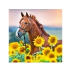Haft Diamentowy, Obraz, Mozaika Diamentowa Diamond Painting, KOŃ W SŁONECZNIKACH 30x30cm