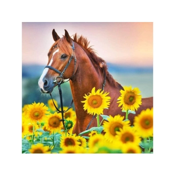 Haft Diamentowy, Obraz, Mozaika Diamentowa Diamond Painting, KOŃ W SŁONECZNIKACH 30x30cm