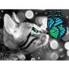 Haft Diamentowy, Obraz, Mozaika Diamentowa Diamond Painting, KOT Z TURKUSOWYM MOTYLKIEM 40x30cm