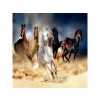Haft Diamentowy, Obraz, Mozaika Diamentowa Diamond Painting, STADO KONI W GALOPIE 30x30cm