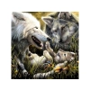 Haft Diamentowy, Obraz, Mozaika Diamentowa Diamond Painting, RODZINA WILKÓW Wilki 30x30cm