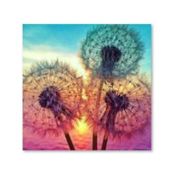 Haft Diamentowy, Obraz, Mozaika Diamentowa Diamond Painting, DMUCHAWCE 30x30cm