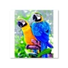 Haft Diamentowy, Obraz, Mozaika Diamentowa Diamond Painting, DWIE PAPUGI 30x40cm