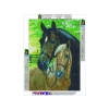 Haft Diamentowy, Obraz, Mozaika Diamentowa Diamond Painting, KONIE 30x40cm