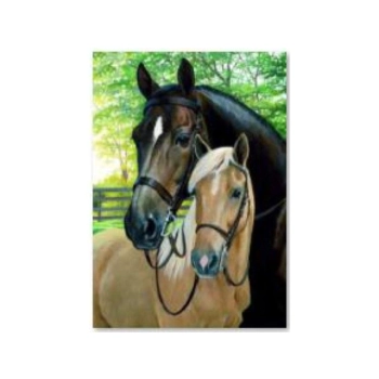 Haft Diamentowy, Obraz, Mozaika Diamentowa Diamond Painting, KONIE 30x40cm
