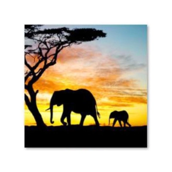 Haft Diamentowy, Obraz, Mozaika Diamentowa Diamond Painting, SŁONIE 30x30cm