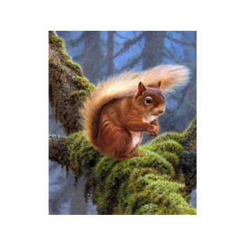 Haft Diamentowy, Obraz, Mozaika Diamentowa Diamond Painting, WIEWIÓRKA 30x40cm