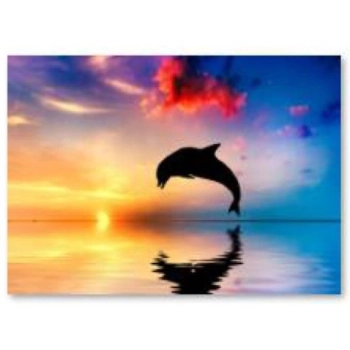 Haft Diamentowy, Obraz, Mozaika Diamentowa Diamond Painting, DELFIN 40x30cm