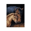 Haft Diamentowy, Obraz, Mozaika Diamentowa Diamond Painting, KOŃ I ŹREBIĘ 30x40cm