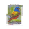 Haft Diamentowy, Obraz, Mozaika Diamentowa Diamond Painting, KOLOROWY PTAK 30x40cm
