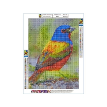 Haft Diamentowy, Obraz, Mozaika Diamentowa Diamond Painting, KOLOROWY PTAK 30x40cm