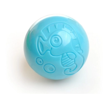 Edukacyjny Chodzik Pchacz