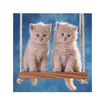 Haft Diamentowy, Obraz, Mozaika Diamentowa Diamond Painting, KOTKI NA HUŚTAWCE 30x30cm