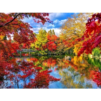 OBRAZ MALOWANIE PO NUMERACH RAMA 50x40cm PARK JESIENIĄ