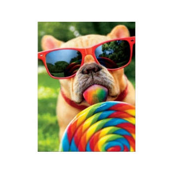 OBRAZ MALOWANIE PO NUMERACH RAMA 40x50cm PIES W OKULARACH