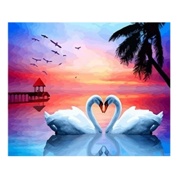OBRAZ MALOWANIE PO NUMERACH RAMA 50x40cm DWA ŁABĘDZIE - SERCE