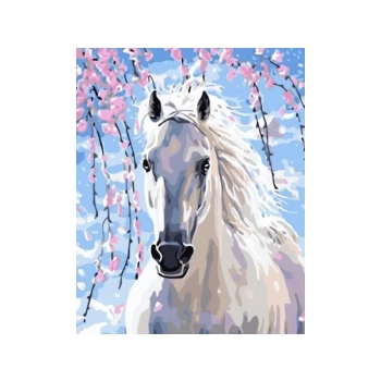 OBRAZ MALOWANIE PO NUMERACH RAMA 40x50cm BIAŁY RUMAK